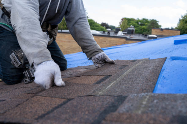 Quick and Trustworthy Emergency Roof Repair Services in Bayshore Gardens, FL