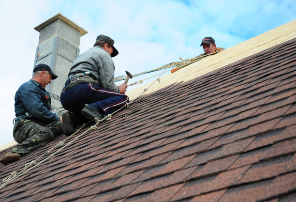 Roof Waterproofing Services in Bayshore Gardens, FL